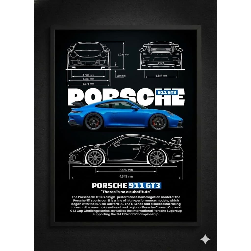Quadro Decorativo PORSCHE 911 GT3