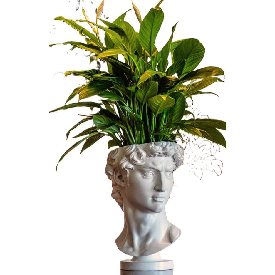Vaso Decorativo Cabeça Grega Davi – Porta Planta Moderno Estilo Estátua - Escultura