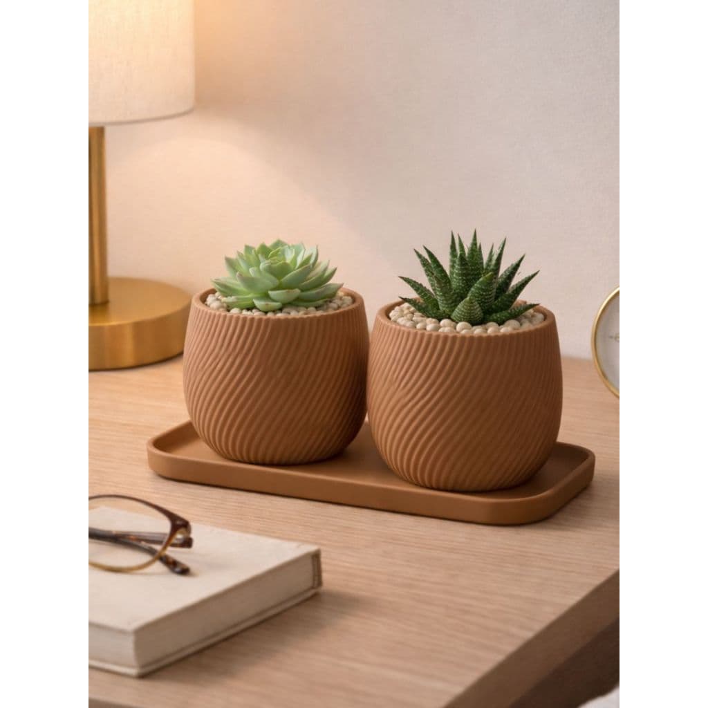 Kit 2 Vasos Decorativos para Pequenas Plantas Suculentas Cactos Vaso Decorativo Sala Escritório Linha Home Decore