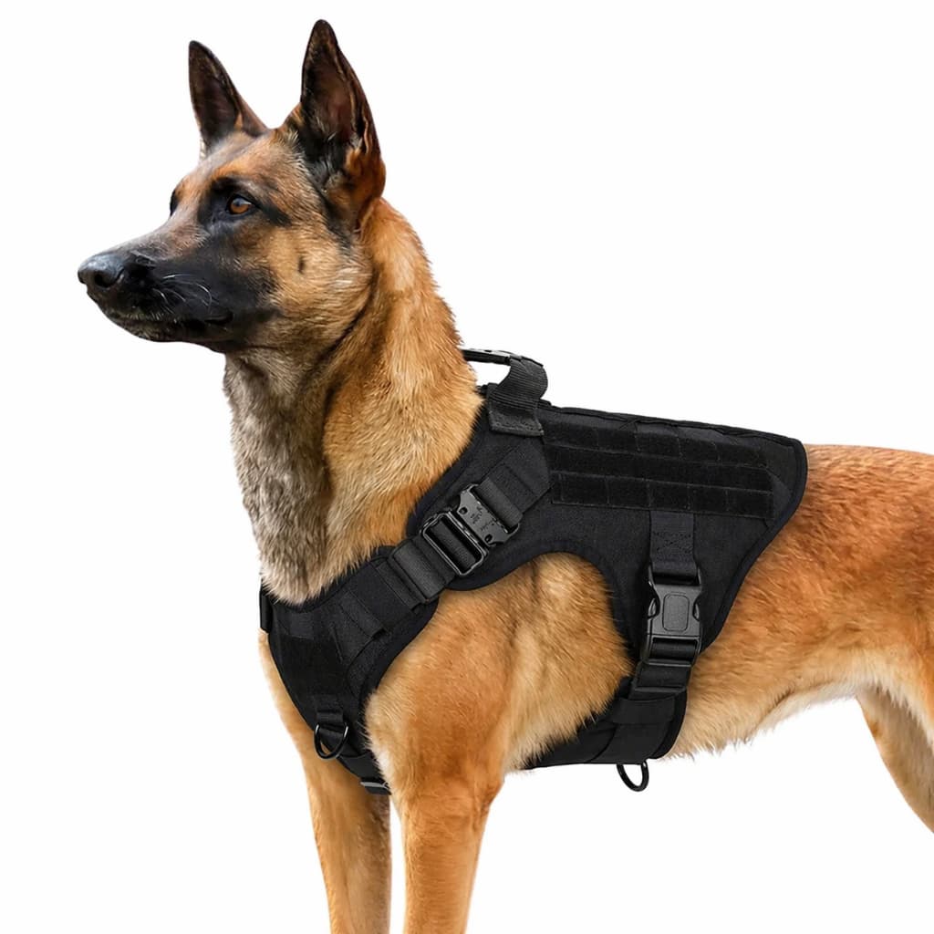 Peitoral Tático Reforçado Militar Para Cachorro Cães Cão Colete Coleira Policia Premium