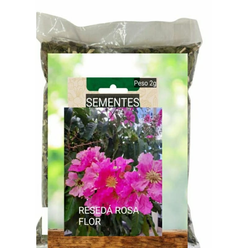 Kit SEMENTES RESEDÁ GIGANTE flor plante vaso Jardim decoração