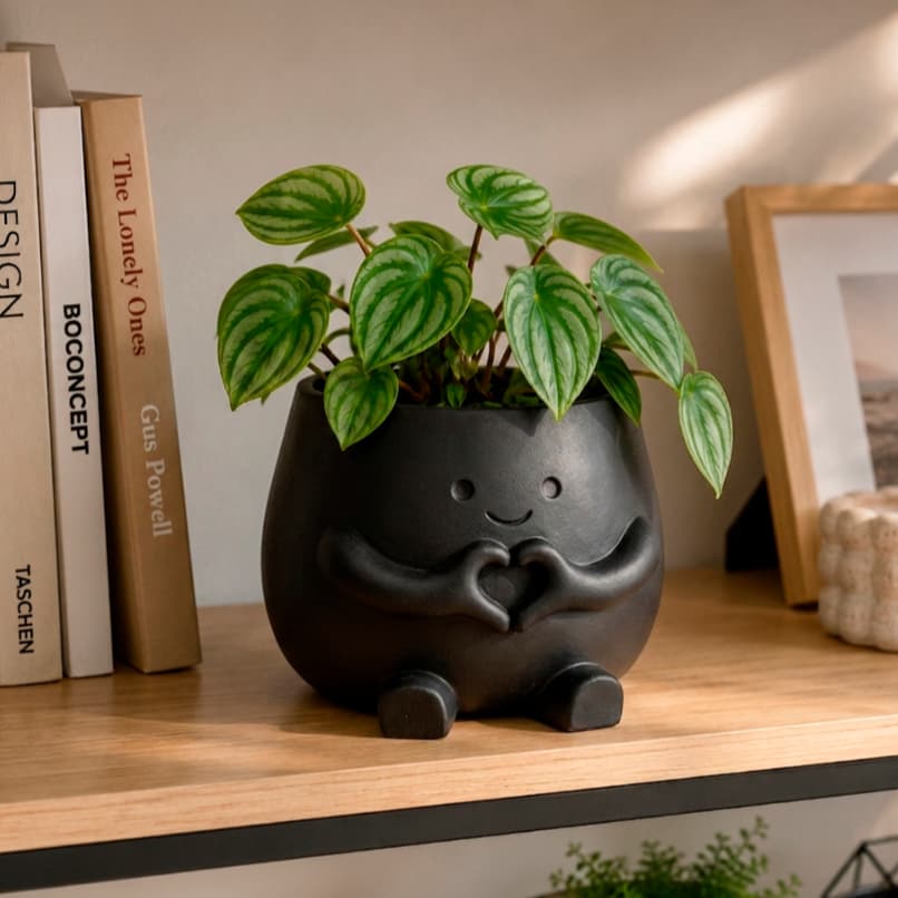 Vaso Moderno Decorativo Branco Preto para Mesa, Escritório e Suculentas