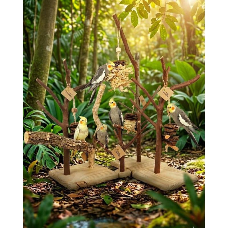 Playgrounds naturais aves (Calopsita/Periquito) natural