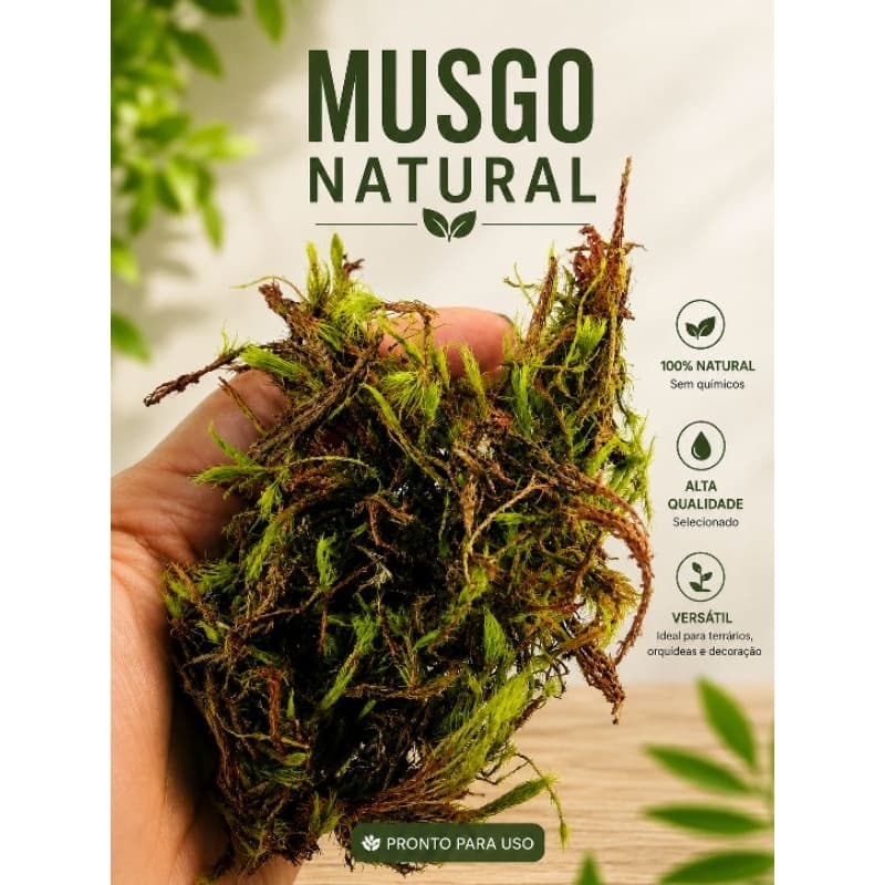 Kit com 3 Pacotes de Musgo Natural Seco kokedamas terrarios arranjos orquídeas decoração de vasos