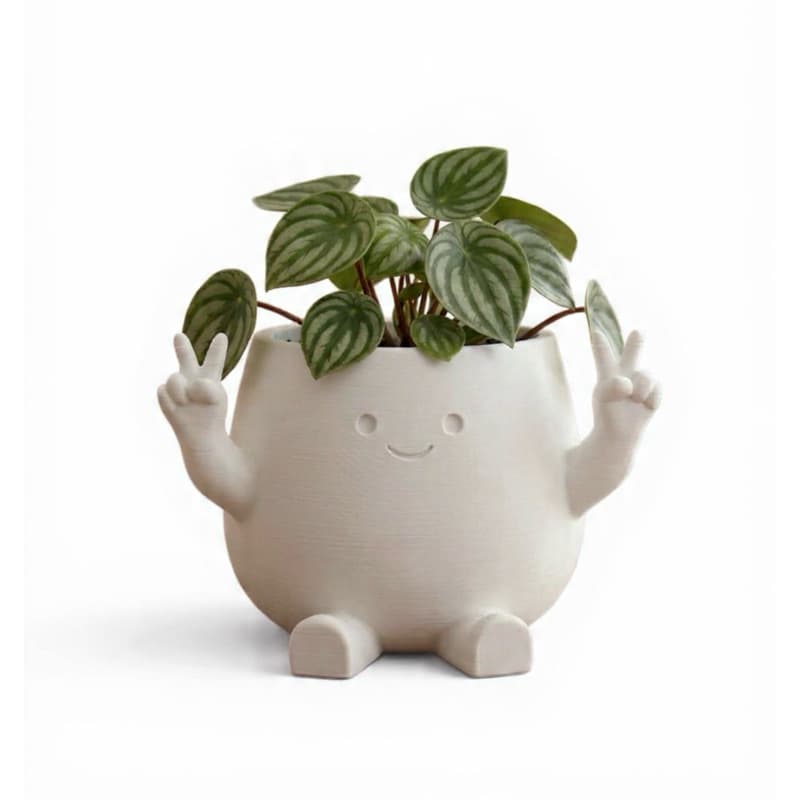 Vaso/Jarrinho Fofo Paz e Amor 3D | Vasinho Decorativo Suculenta | Presente Criativo