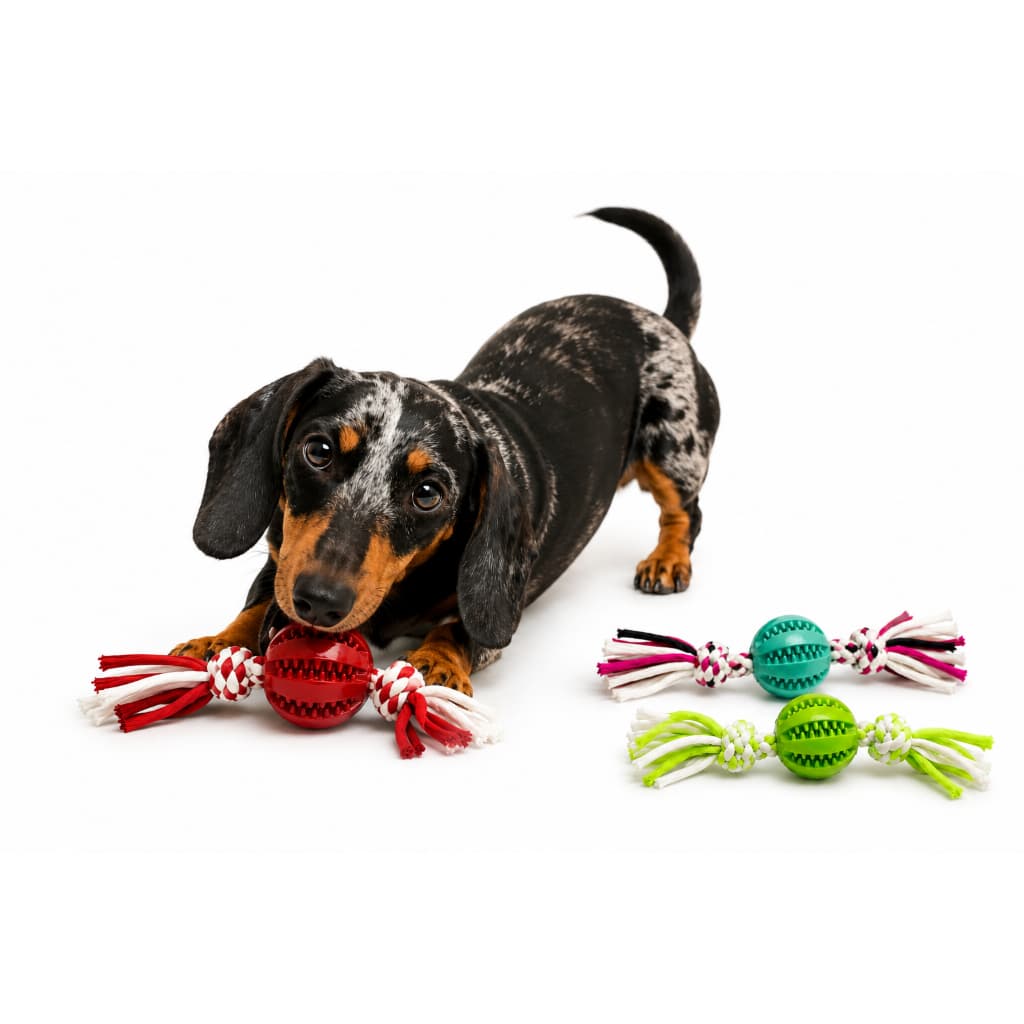 Kit 2 Brinquedos Bola Limpa Dente Resistente Com Corda De Mastigar Morder Para Cão Pet Puxar Mordedor Cachorro