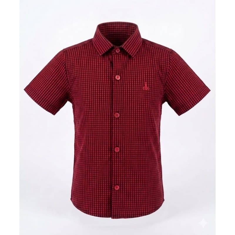 Camisa Xadrez Social Infantil e Juvenil Manga Curta Estilosa Menino Alfa 1613