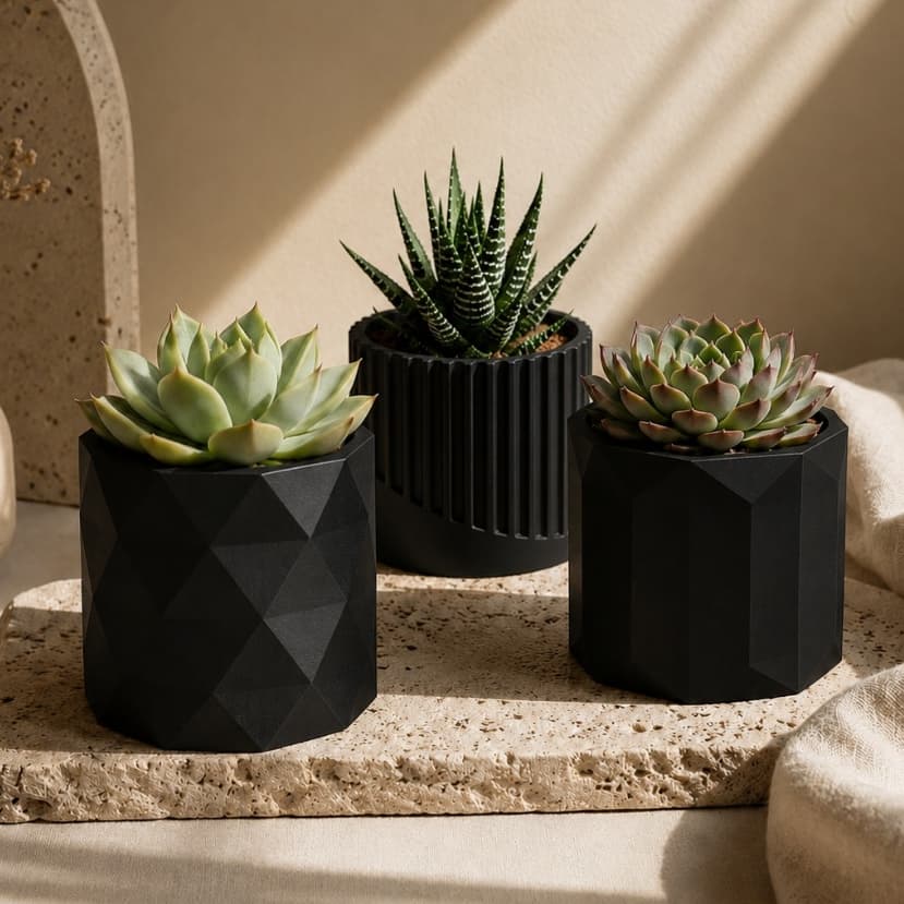 Kit Vasos Suculentas Vasinhos decorativo moderno para plantas minimalista