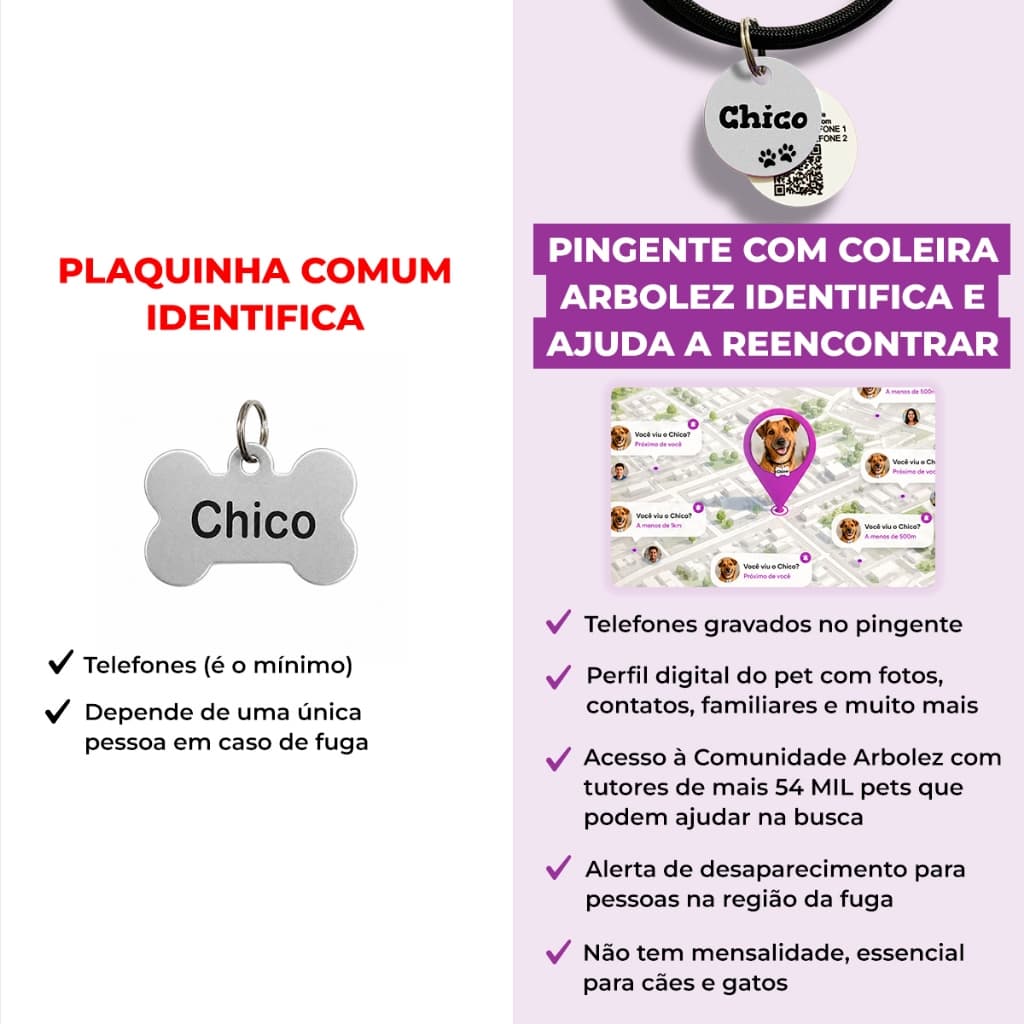 Placa de Identificação Pet Cachorro Gato Com Coleira Personalizada