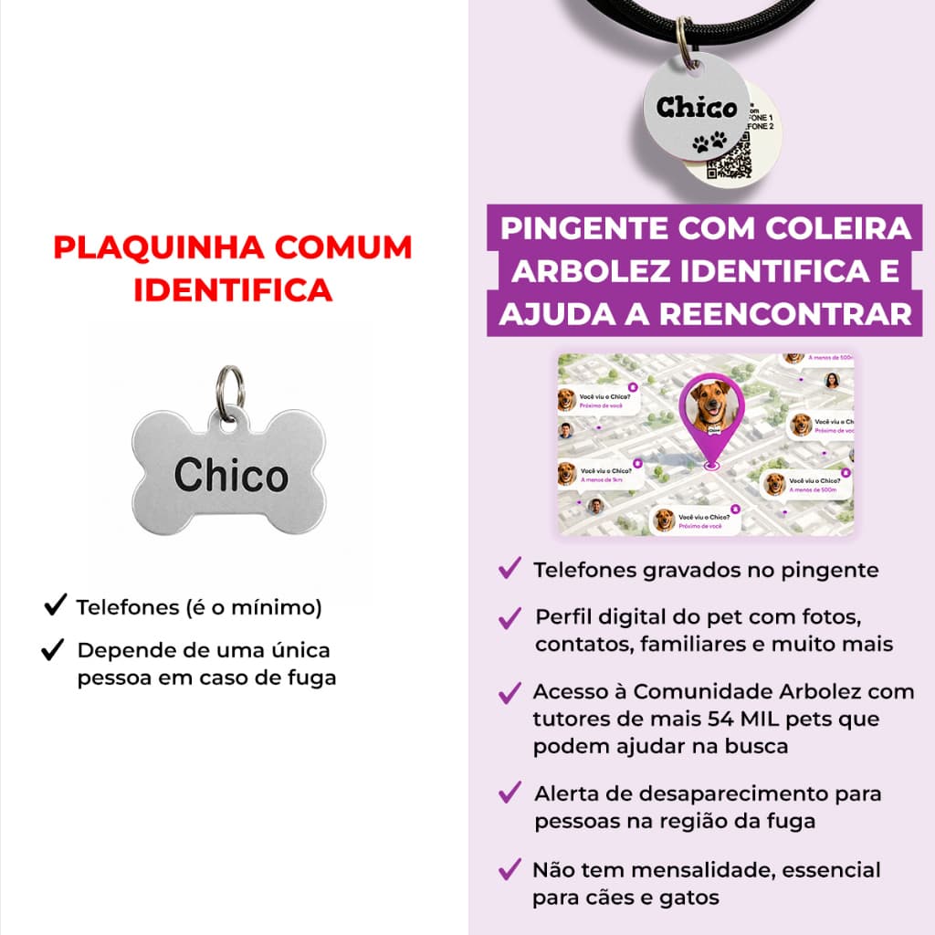 Placa de Identificação Pet Cachorro Gato Com QR Code e Coleira Personalizada + Comunidade Arbolez