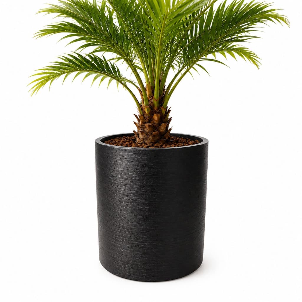 Vaso para Plantas Grande Grid Coluna Classico Resistente e Duravel 60x50