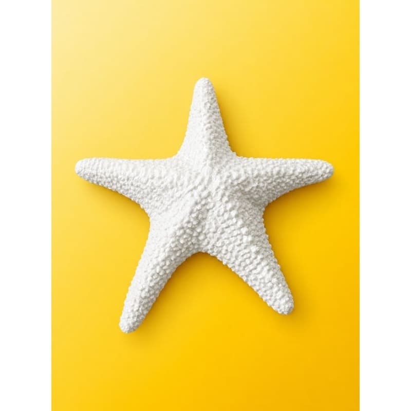 KIT 3 ESTRELAS DO MAR DECORATIVAS