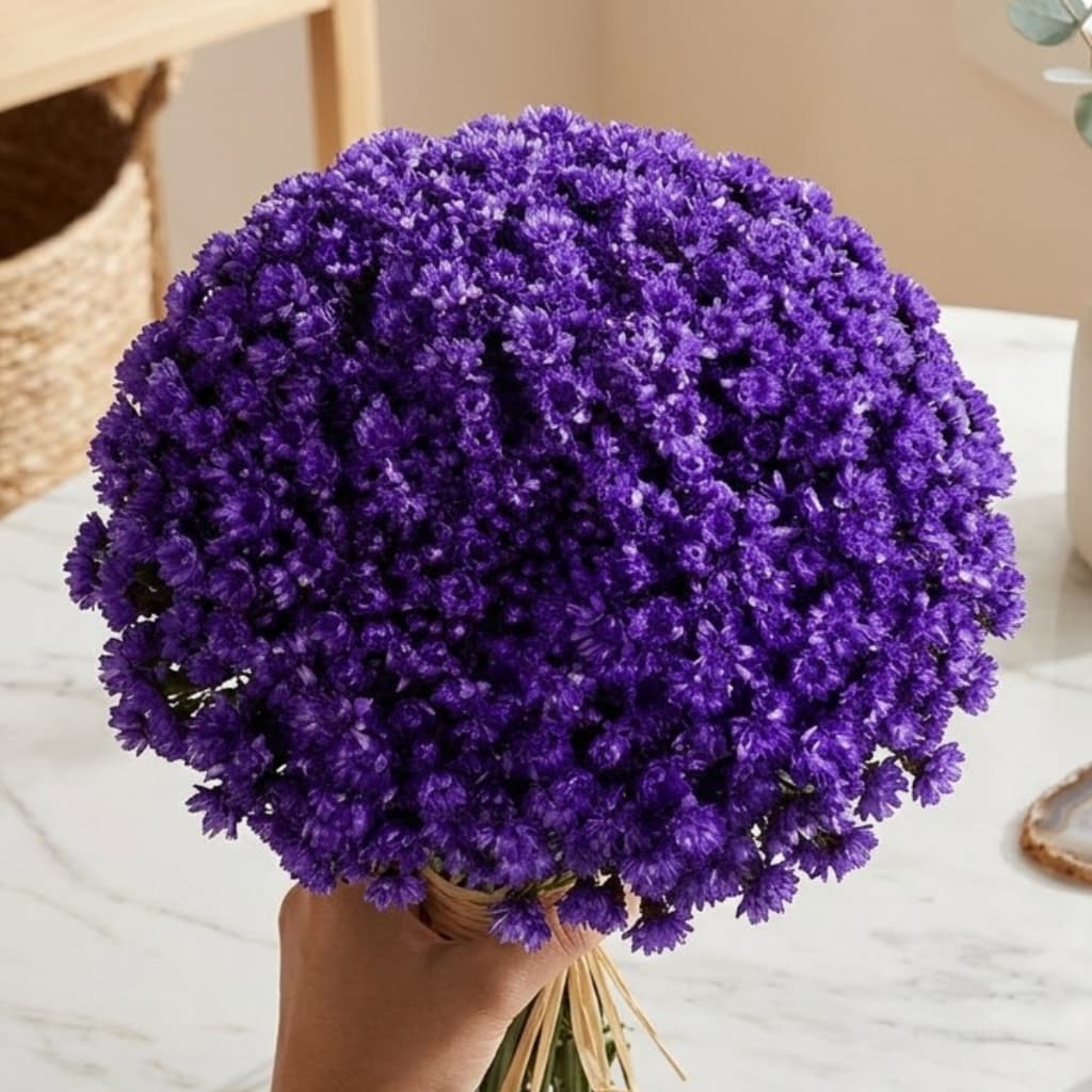 Flor Sempre Viva Roxa Desidratada Buquê Aprox 200 Flores Decoração Arranjos Mesa Posta