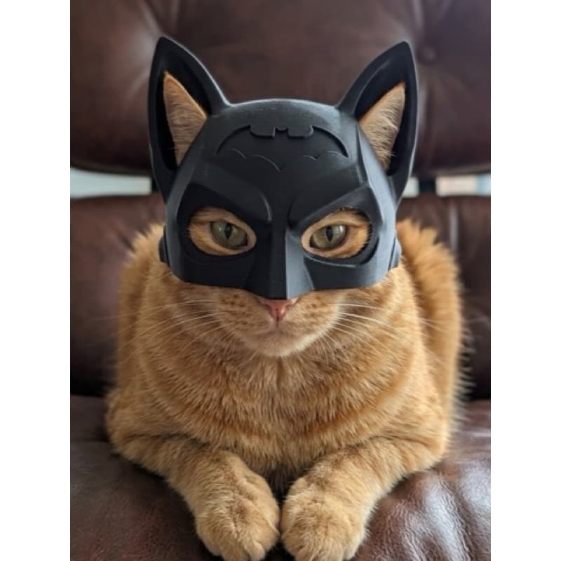 MÁSCARA DO BATMAN PARA GATOS