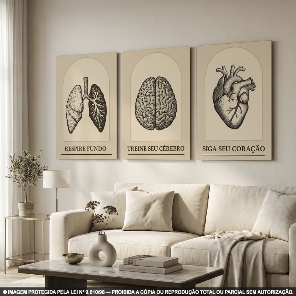 Quadro Decorativo Kit 3 Peças MDF Anatômico Vintage Coração Cérebro Crânio Moderno Retrô
