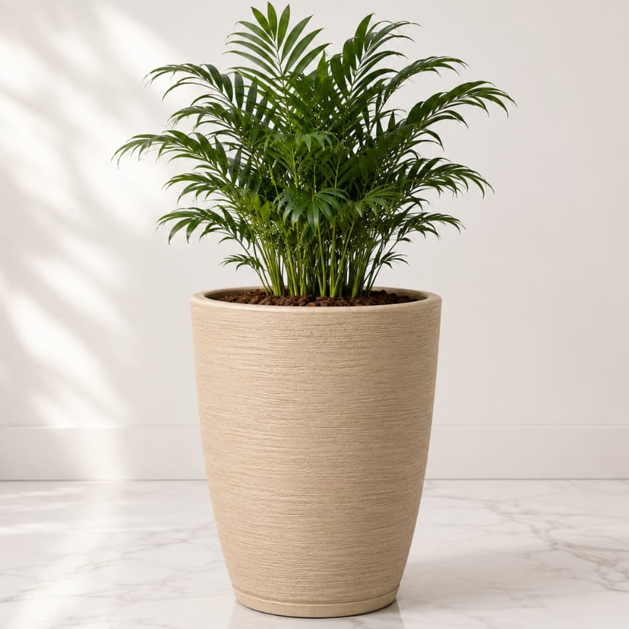 Vaso de Planta Decorativo Cone Bojo 28x25 Escovado Textura com Prato em Polietileno