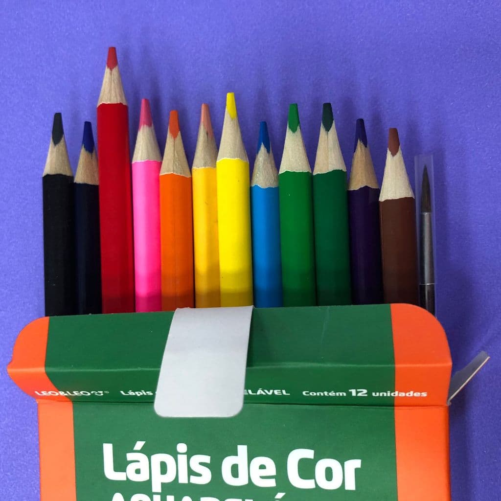 LAPIS 12 CORES AQUARELAVEL C/PINCEL LEOELEO