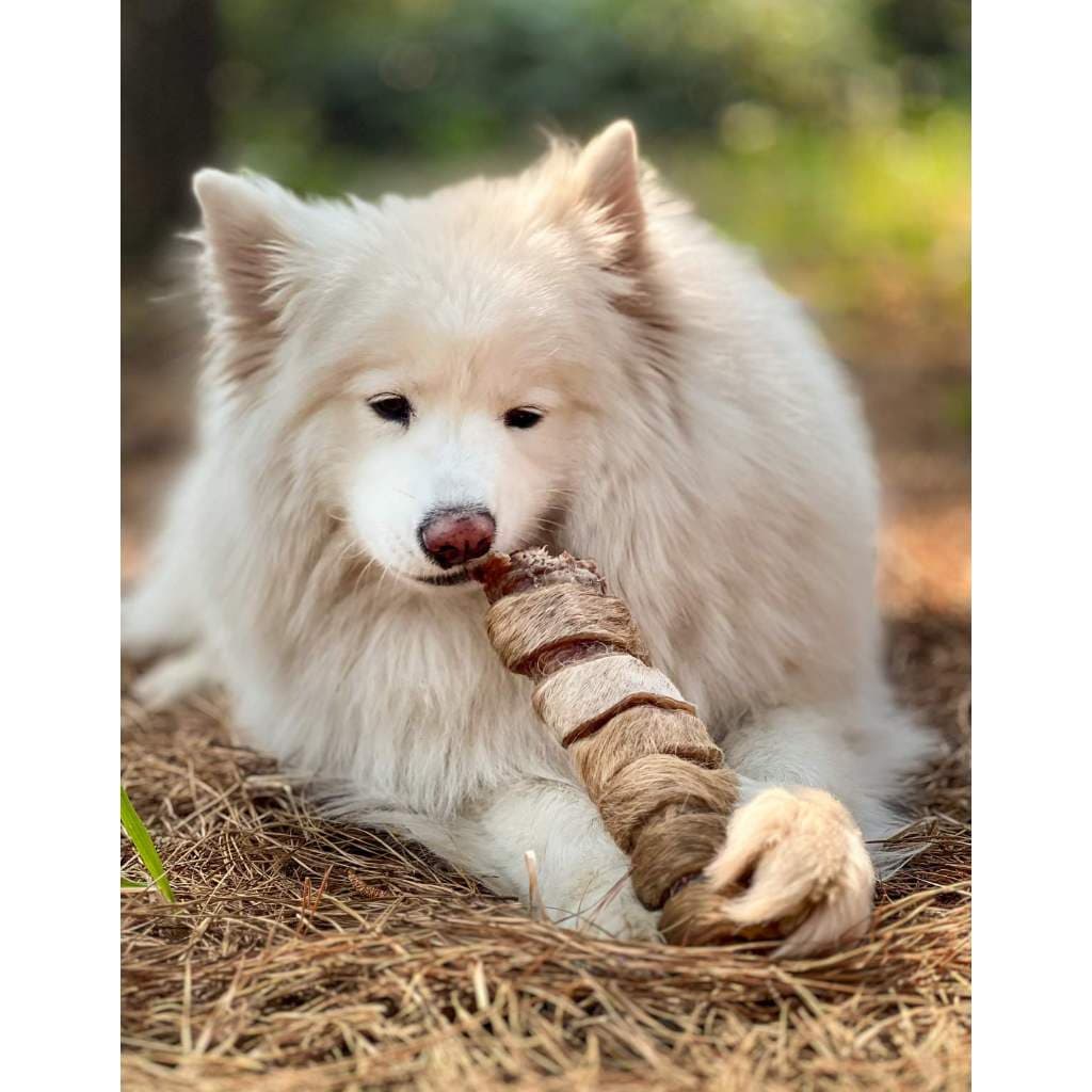 Kit 2un Mordedor Para Cachorros 100% Natural Tubão Power Pet Bem Pele Bovina e Traqueia