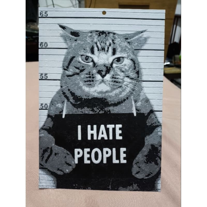 Placa Decorativa – Gato Mal-Humorado (Mugshot)