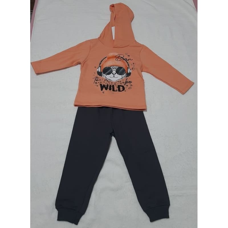 conjunto de moletom infantil feminino com capuz
