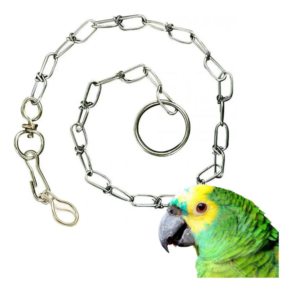Corrente P/Papagaio/Arara/Pato/Aves grande porte