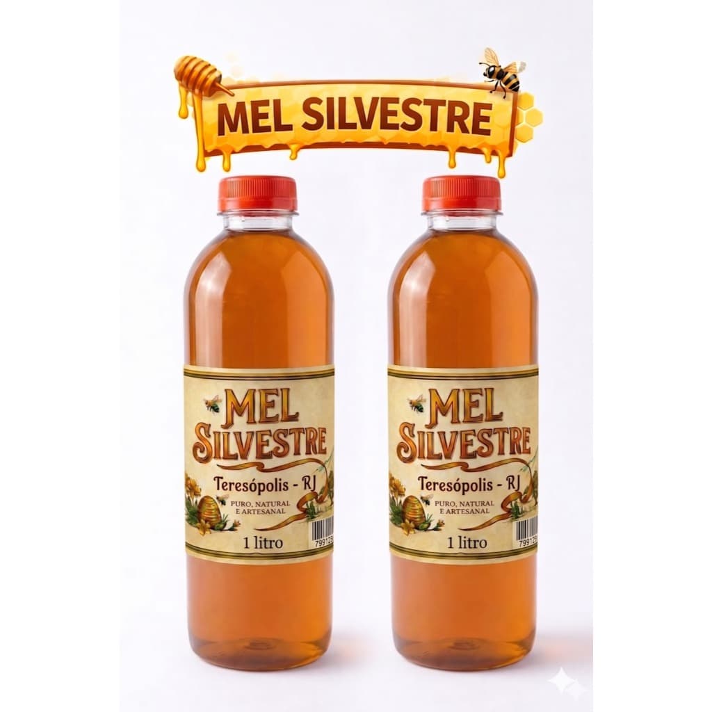 Mel de Abelha Silvestre 1,3kg