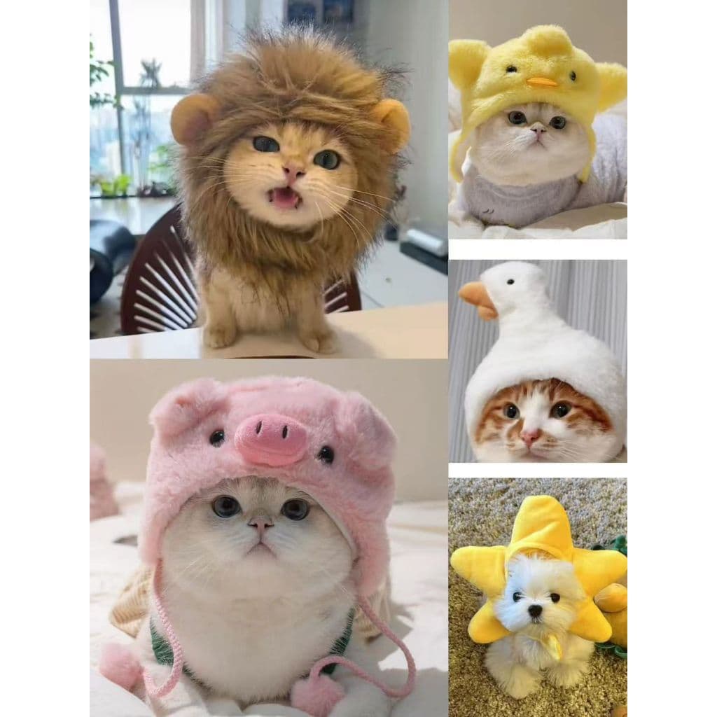 Chapéu De Peruca de Leão, Porco, Pintinho, Estrela e Pato Macio E Fofo Para De Gato Cachorro