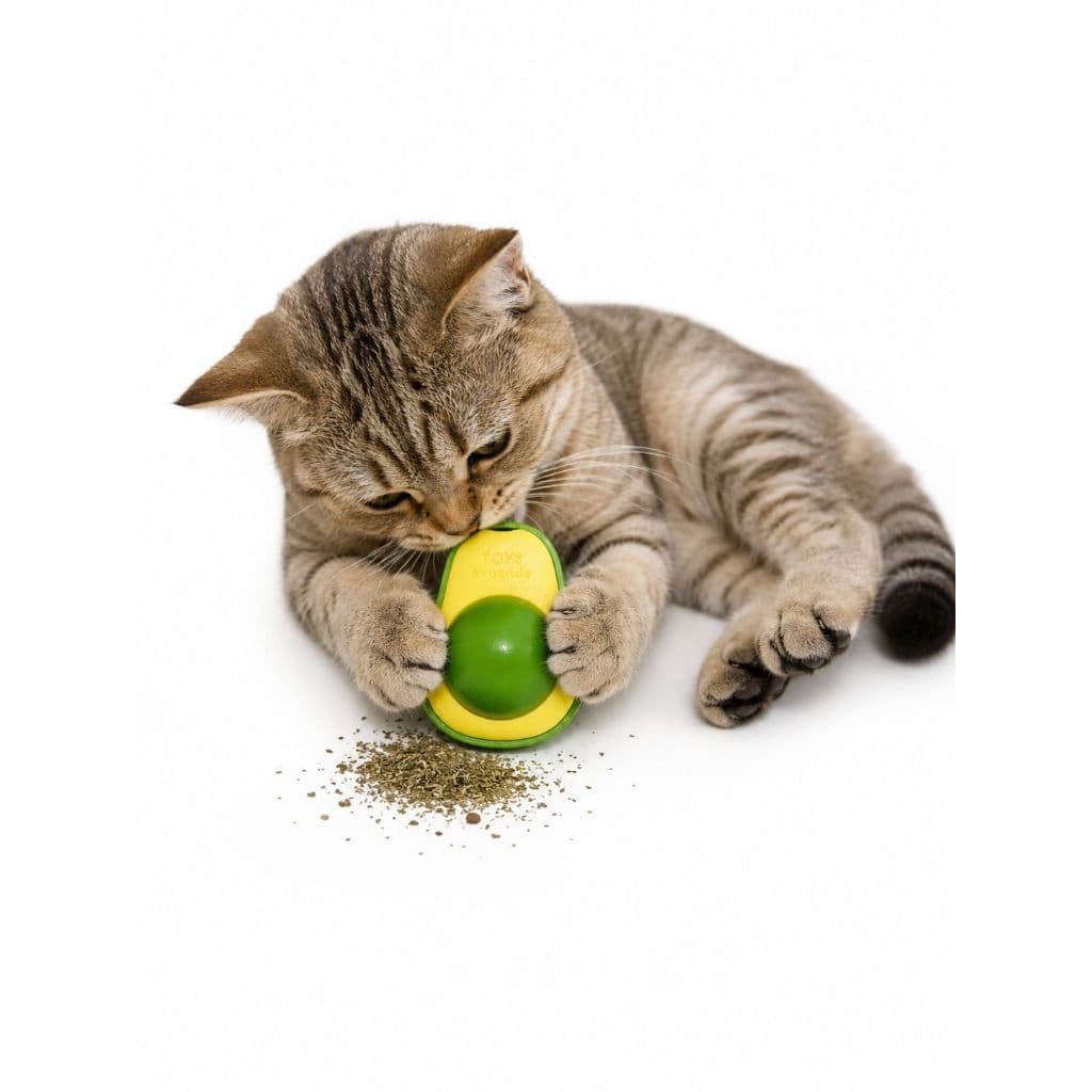 Abacate Brinquedo Para Gatos Com Catnip Erva Gato Natural Relaxante