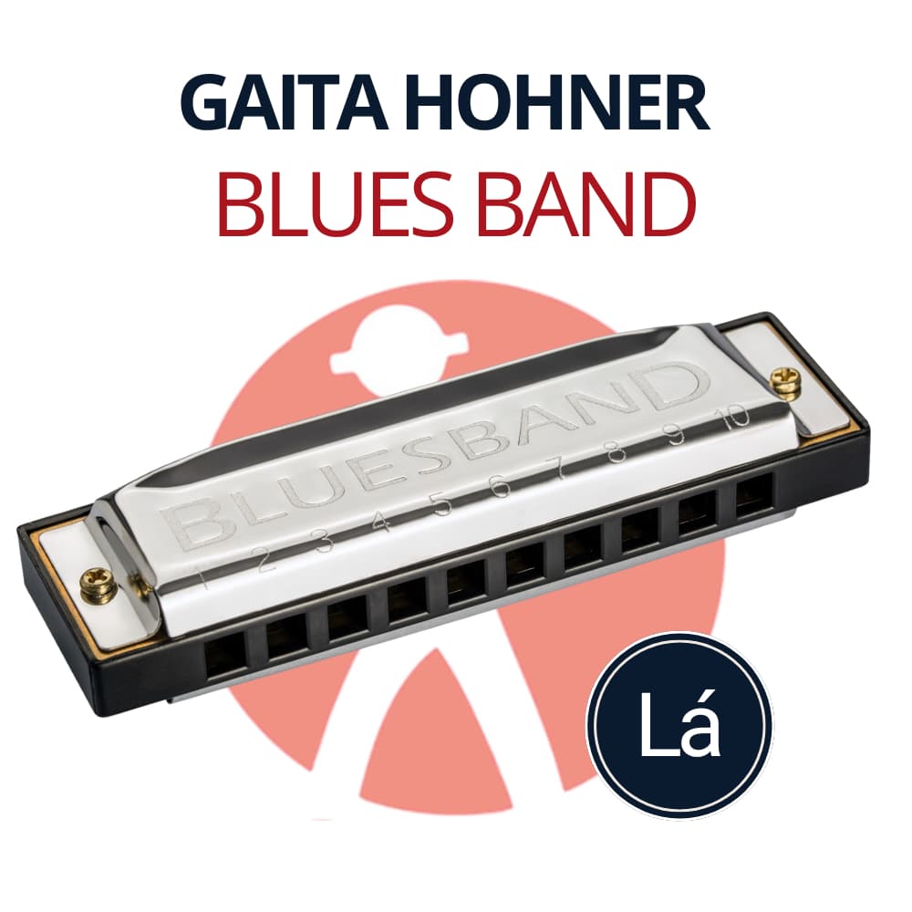 Gaita Harmónica Blues Band em A (Lá) 559/20 Diatônica Gaita de Boca Profissional Gaita Hohner