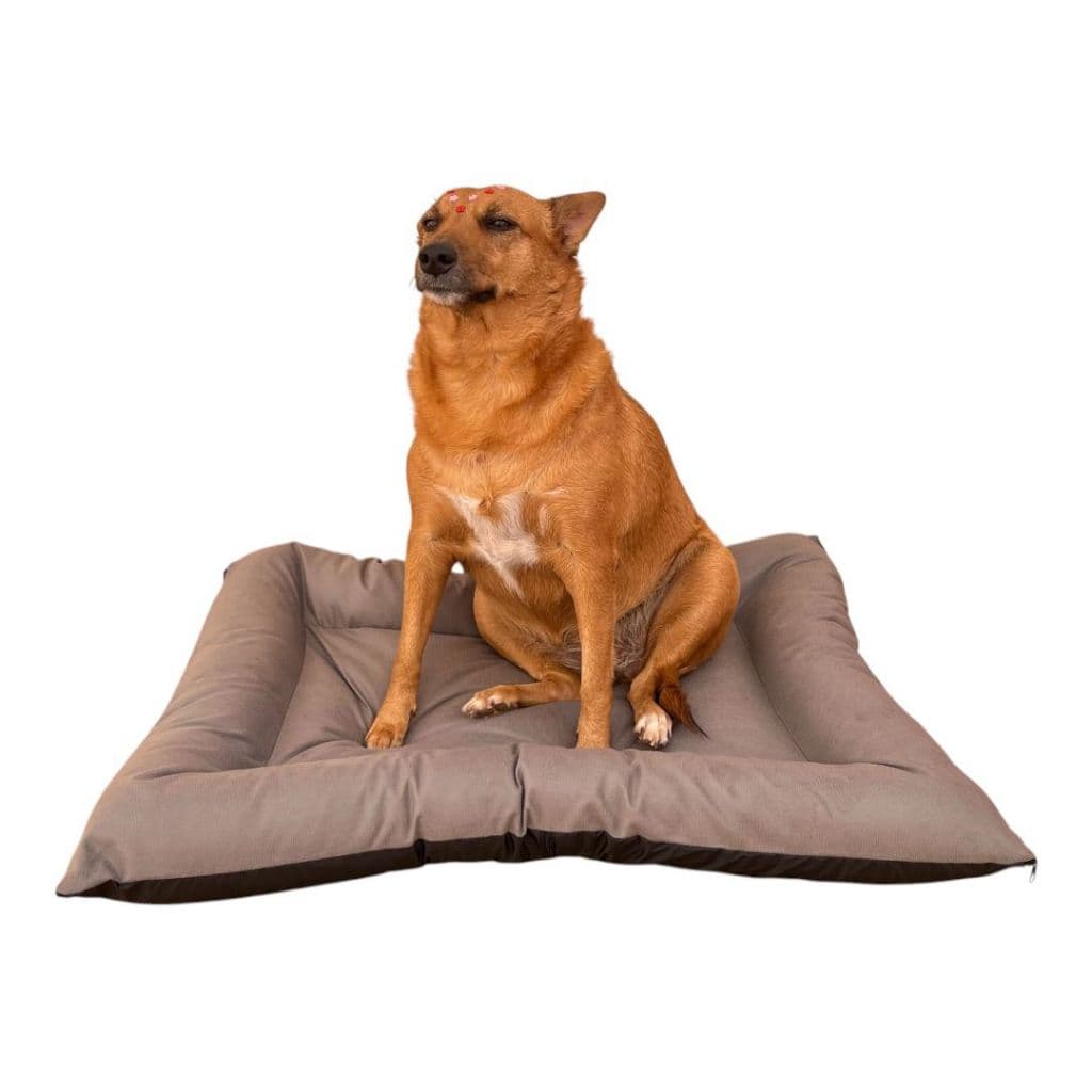 Colchonete Para Cachorro Grande 90x70 Cm Confortável Suede
