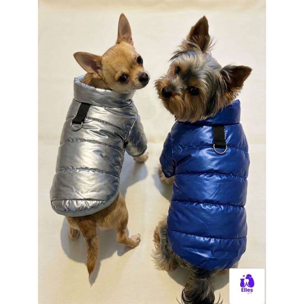 Colete Pet Impermeável Estilosa tamanho P Roupa Quente Yorkshire Raça Pequena Roupa Cachorro Roupa Gato