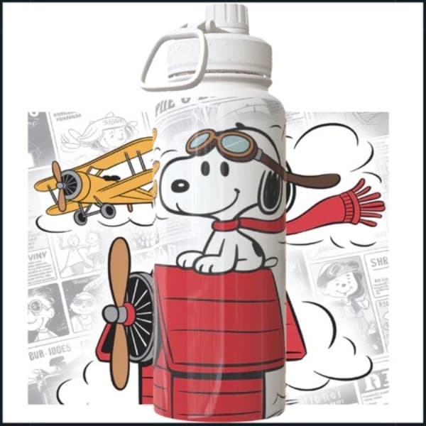 Garrafa Térmica Inox 800ml Anime Personagens Tampa Rosca Ideal Para Escola Trabalho Academia E Passeios