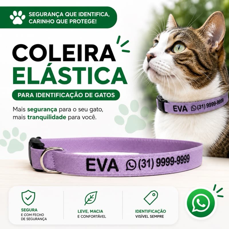Coleira de gato elástica com nome e telefone whatsapp - Coleira para gato identificação