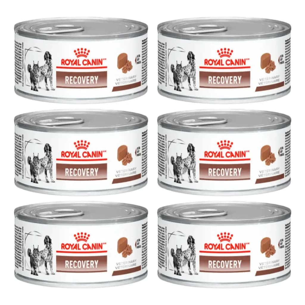 Kit 6 Ração Úmida Royal Canin Recovery Cães Gatos 195g
