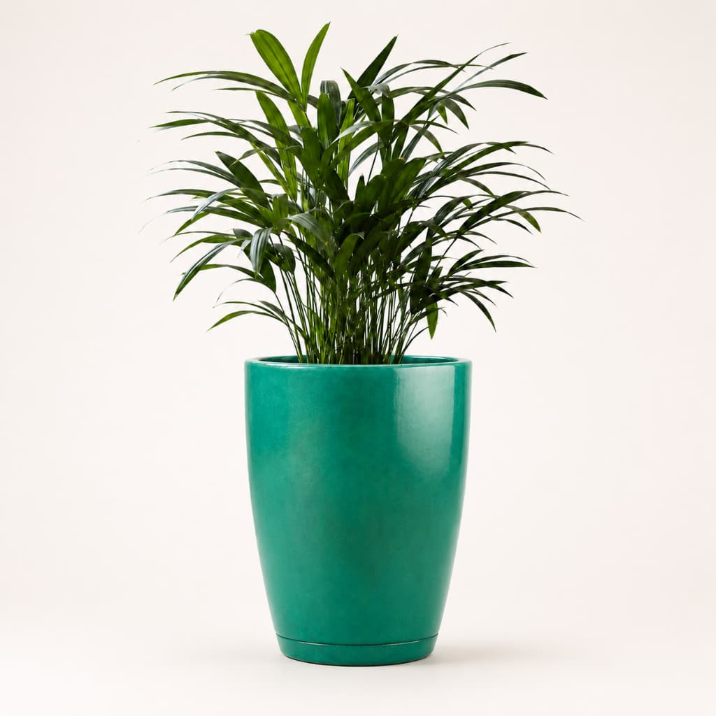 Vaso de Planta Decorativo Cone Bojo Liso com Prato 38x31 em Polietileno