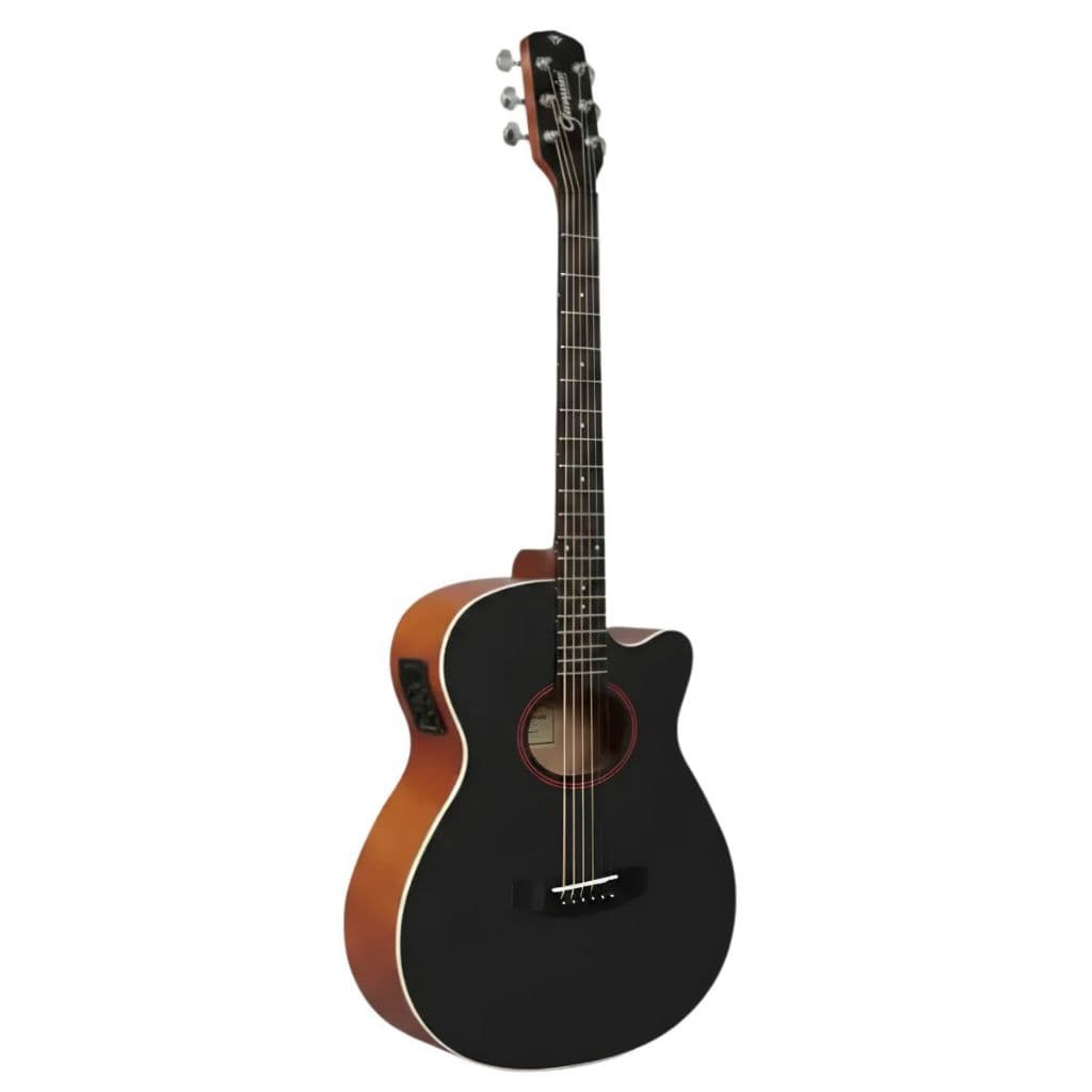 VIOLAO GIANNINI GSF-1D CTBK AÇO MINI JUMBO FOSCO PRETO ELÉTRICO