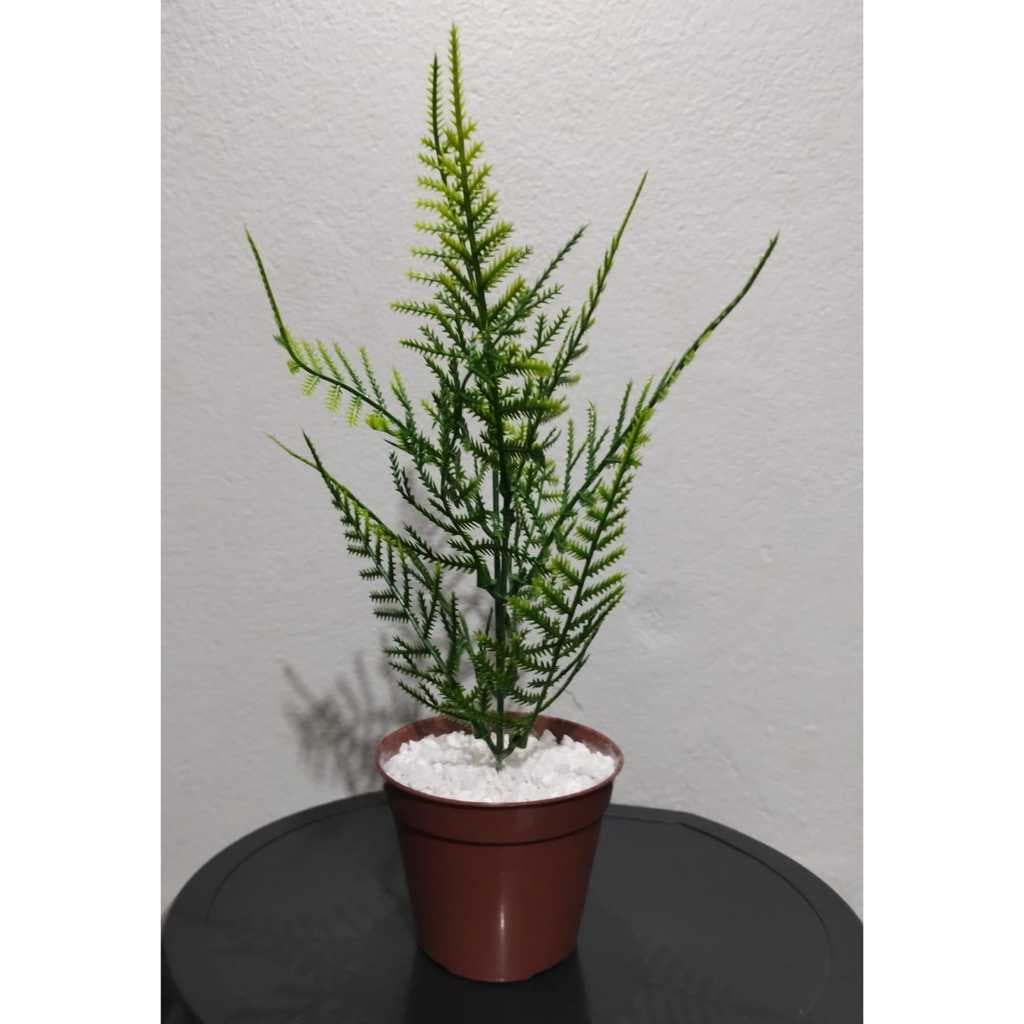 Planta Artificial Decorativa Tipo Samambaia em Vaso – Kit com 1 ou 2 Unidades