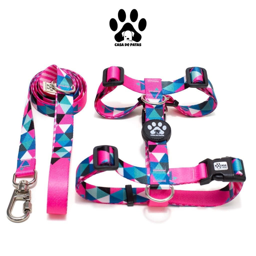 Kit Coleira para Cachorro Tamanho G: Peitoral + Guia modelo H