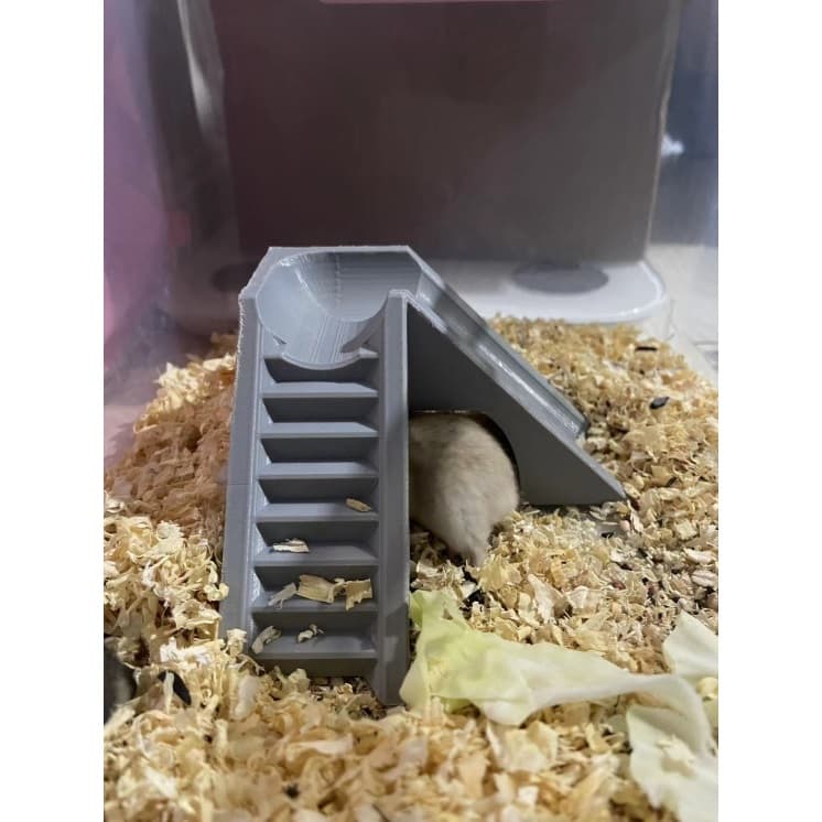 Escada com Escorregador para Hamster e Roedores Playground Divertido PETG Para Roedores