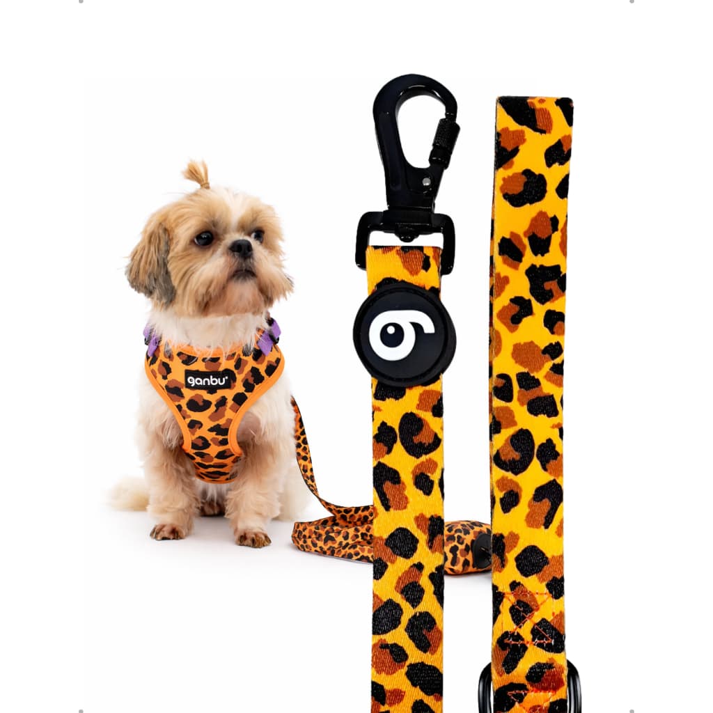 Guia Pet Dog Animal Onça Ganbu – Passeios Confortáveis e seguros, Resistência e Estilo Para Cães