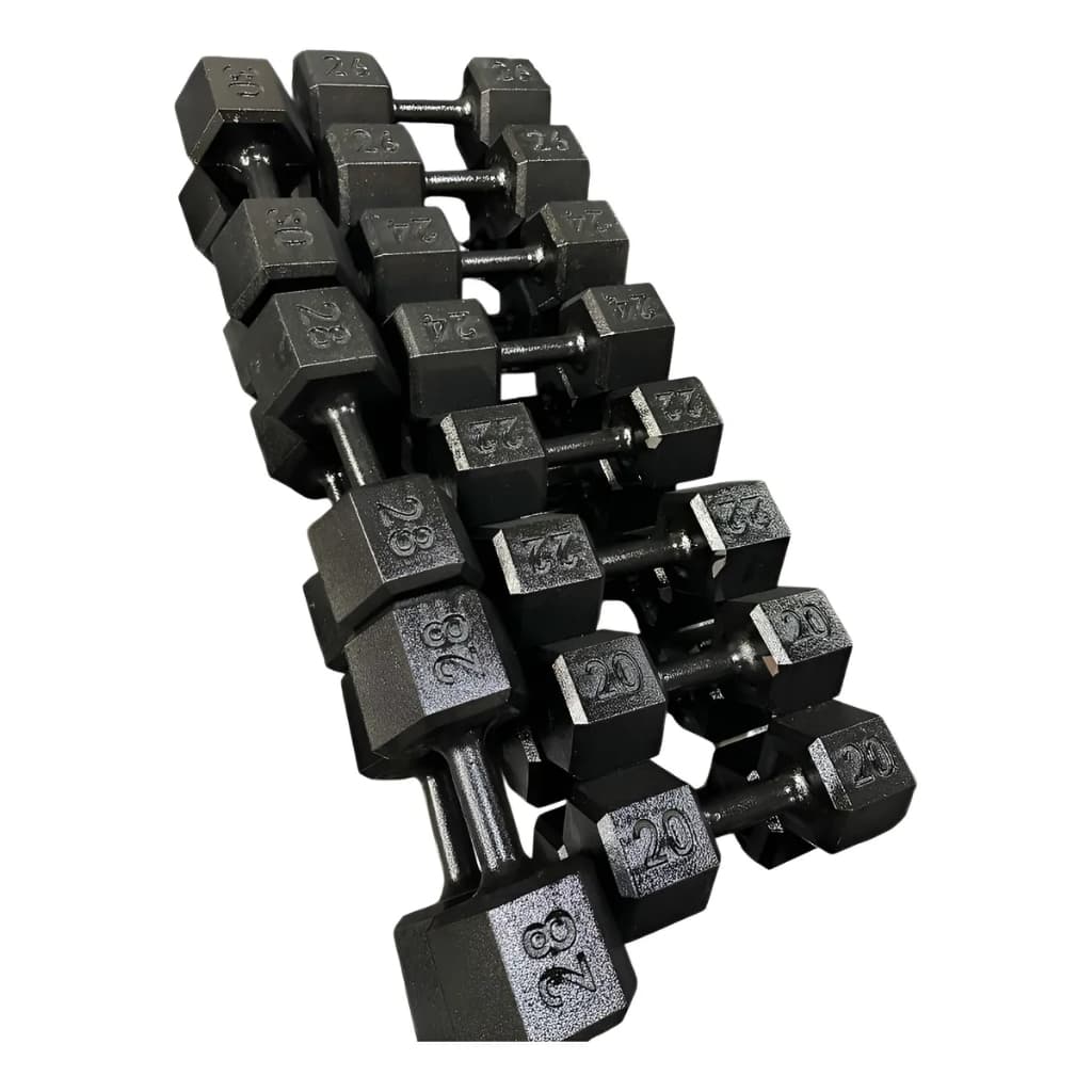 Kit Dumbbell Sextavado Pintado 484kg – Halteres Profissionais Academia Fitness