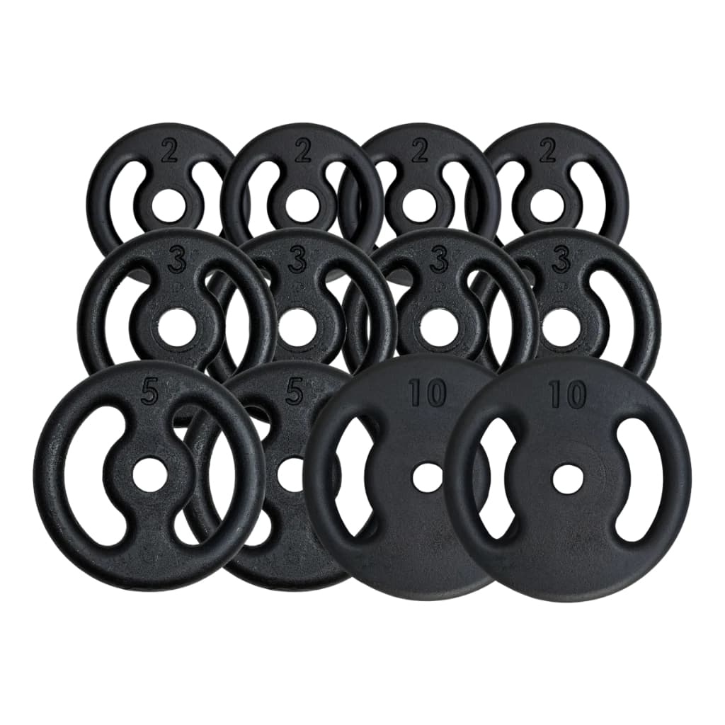 Kit 25kg Anilhas Diversificadas Pintadas Personalizável Furo 31mm Premium Peso Academia Casa Musculação