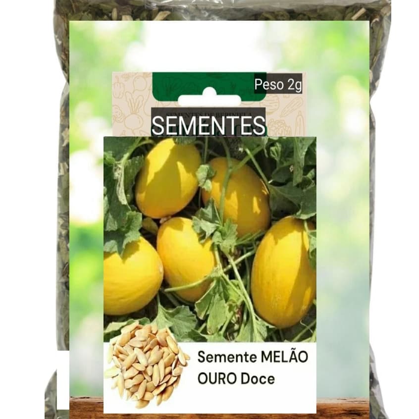 kit 15 sementes Nativas MELAO OURO GIGANTE delicioso  plante vaso horta OFERTA