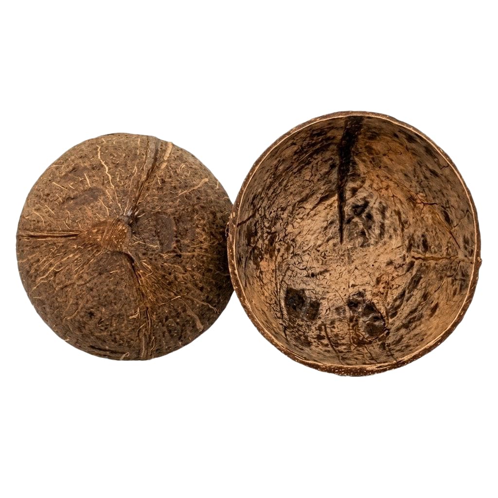 Coité De Coco Sem Base Umbanda - Candomblé Cuia De Baiano