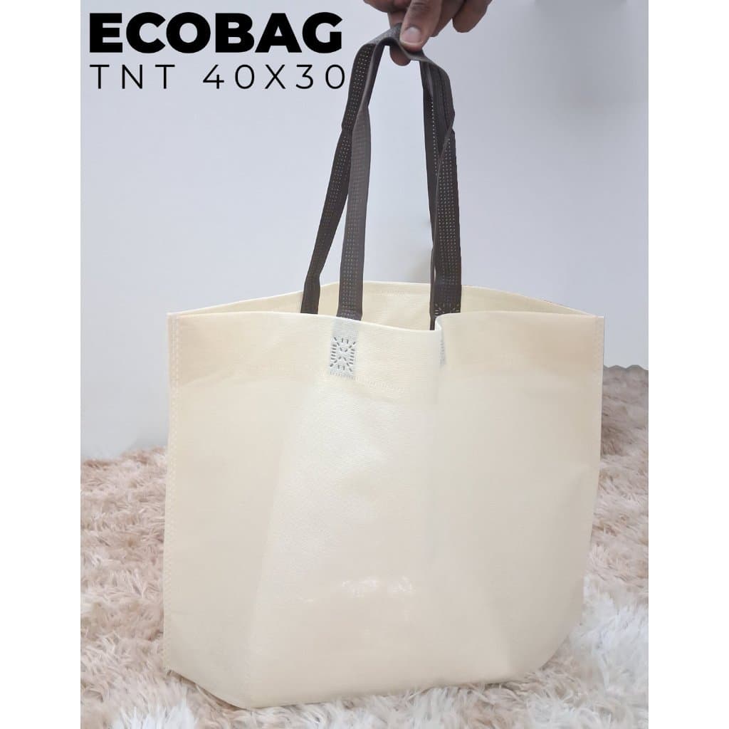 Kit Sacola Ecobag TNT 40x30 ideal para Loja Comércio Evento Aniversário Comemoração 50 e 100un