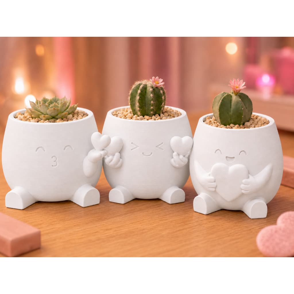 Vasos Decorativos Para Plantas Suculentas e Cactus Fofo Com Coração