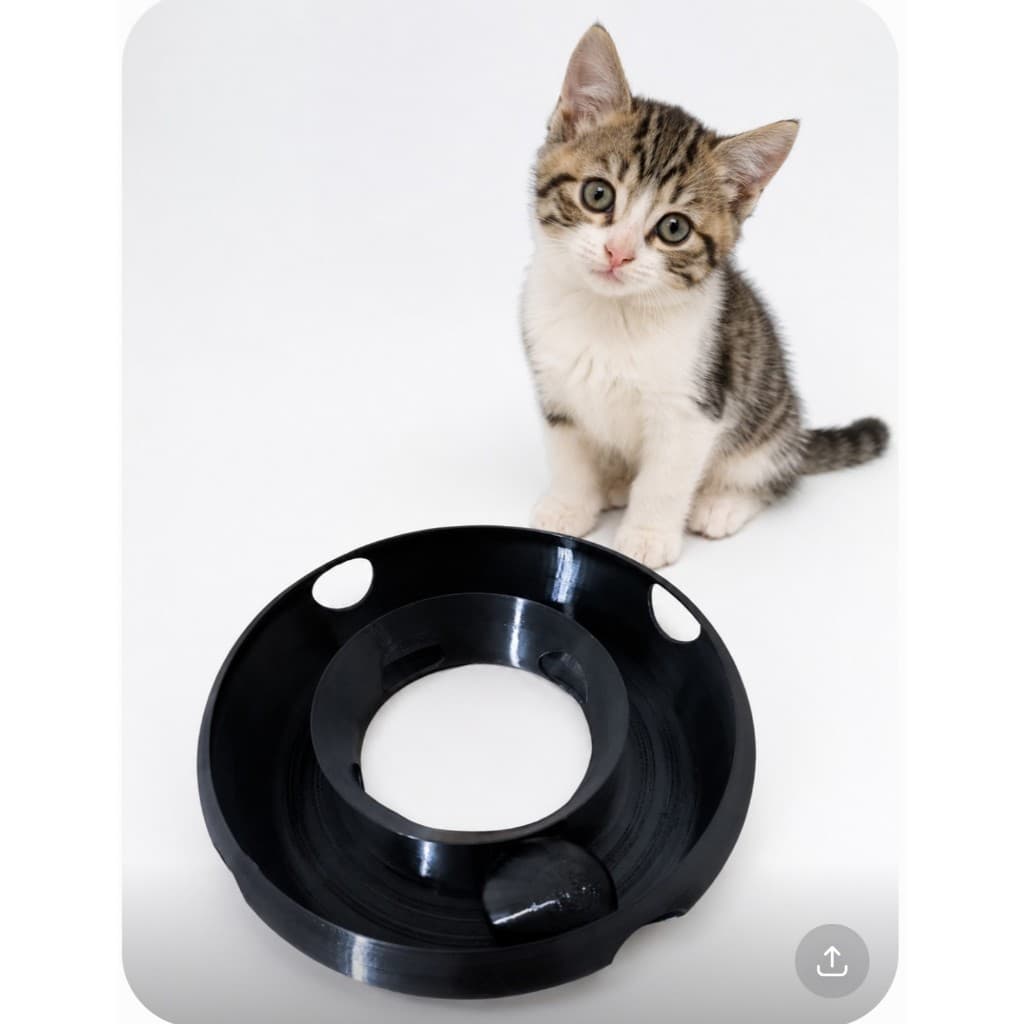 Brinquedo Interativo para Gatos Trilho com Bolinha Suporte Resistente Premium - Diversão e Exercício