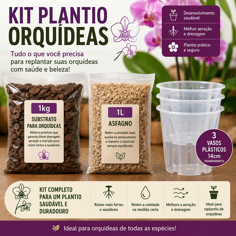 KIT PLANTIO ORQUIDEA - 1KG SUBSTRATO, 1L ASFAGNO, 3 VASO PLASTICO TRANSPARENTE