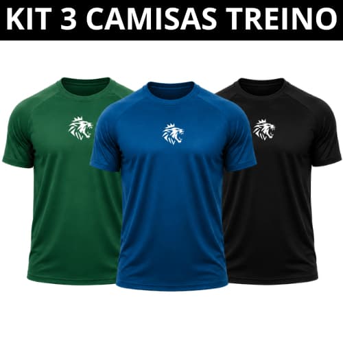 Kit 3 Camisetas Masculinas Dry Fit para Academia, Treino e Corrida –Leves e de Secagem Rápida