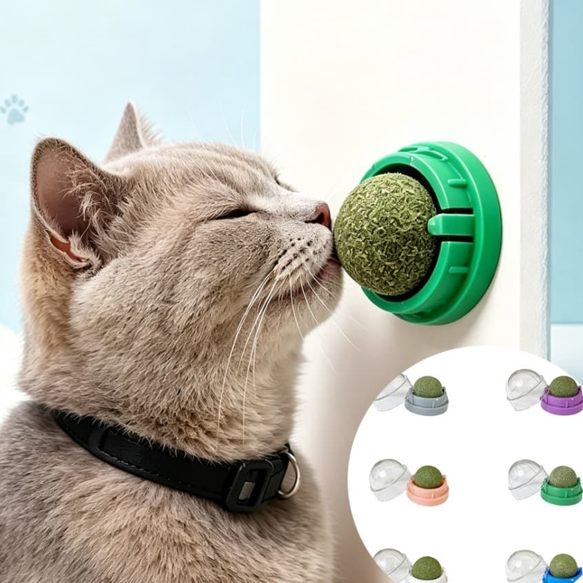 Brinquedo Bola 360° com Catnip Cola e Parede Chão Erva de Gato Natural Melhora Hálito Interativo Pet